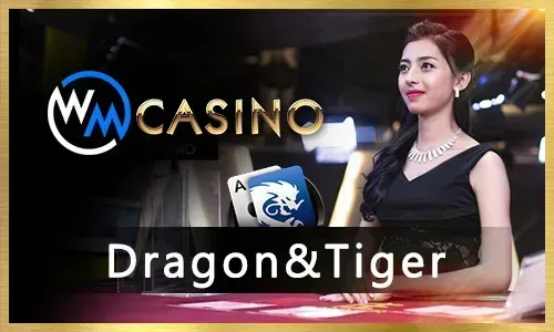 Live Casino Experience